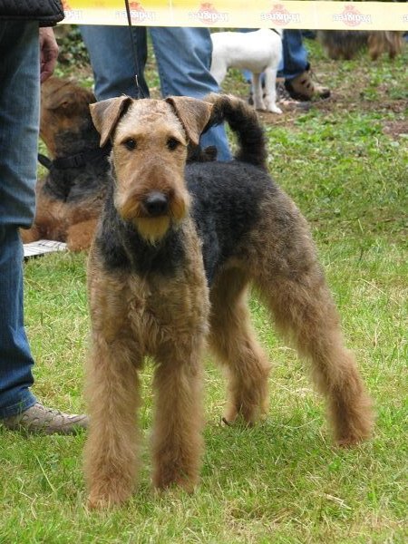 Red Sheyla 14 monate